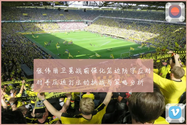 张伟丽卫冕战前强化笼边防守应对对手压迫打法的挑战与策略分析