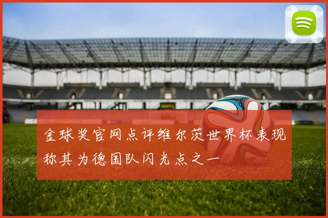 金球奖官网点评维尔茨世界杯表现称其为德国队闪光点之一
