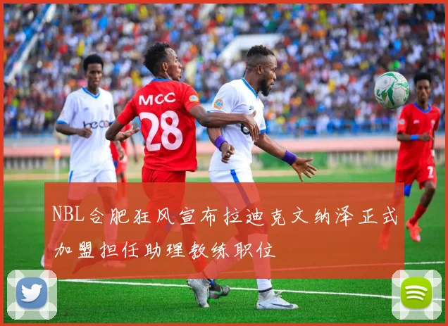 NBL合肥狂风宣布拉迪克文纳泽正式加盟担任助理教练职位